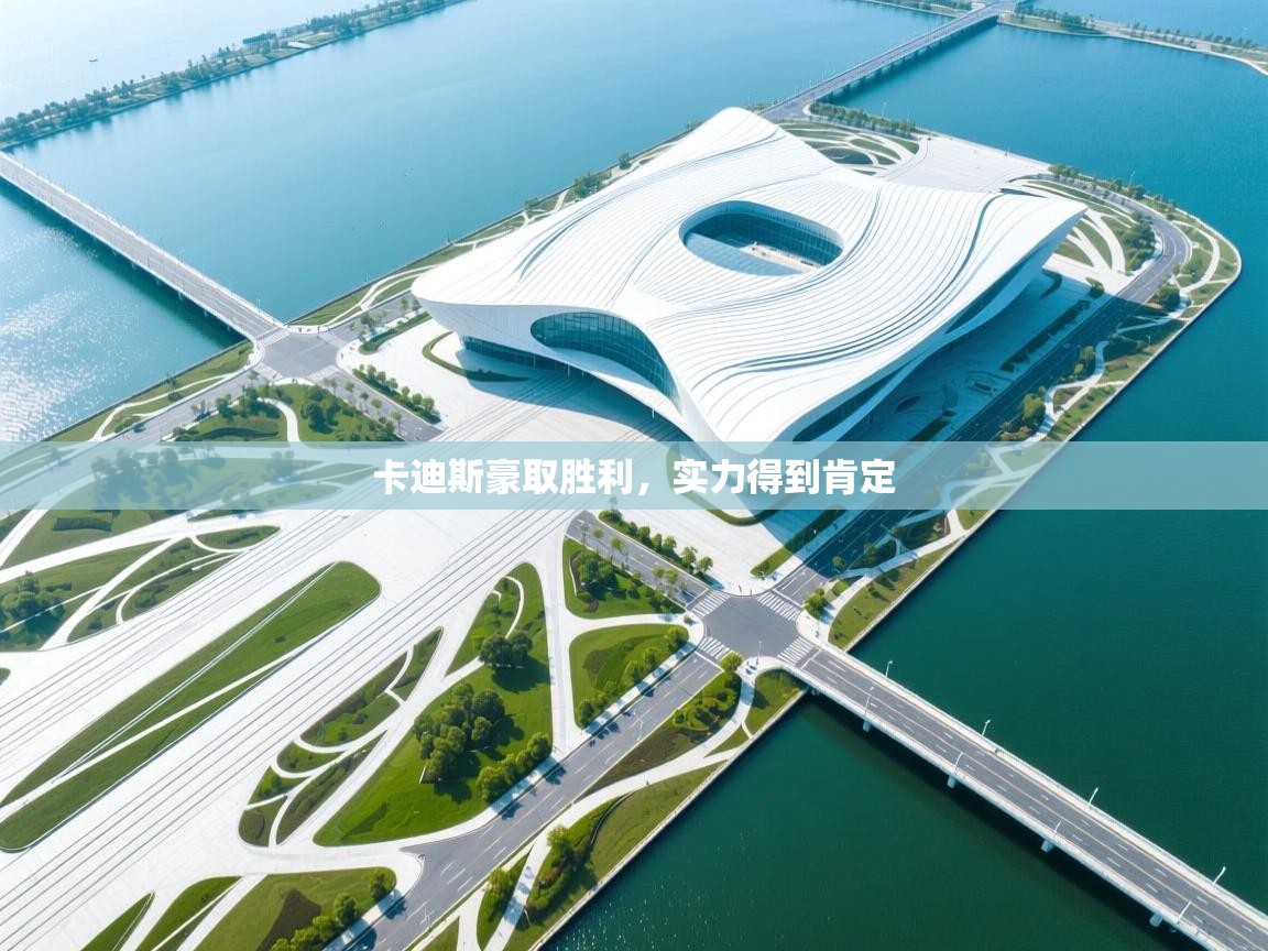 开云体育app下载链接-卡迪斯豪取胜利,实力得到肯定 第1张