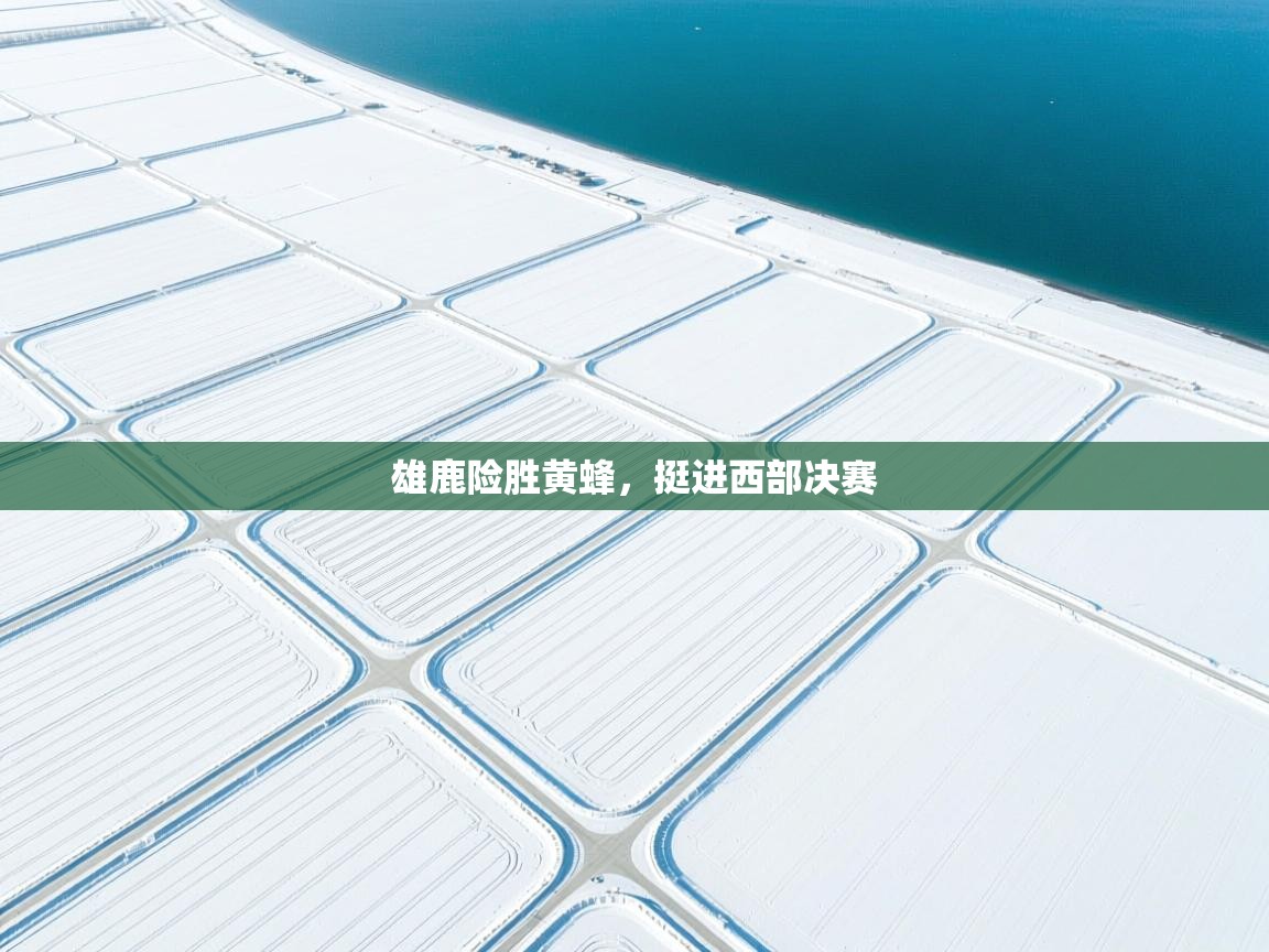 开云体育苹果版下载-雄鹿险胜黄蜂,挺进西部决赛 第4张