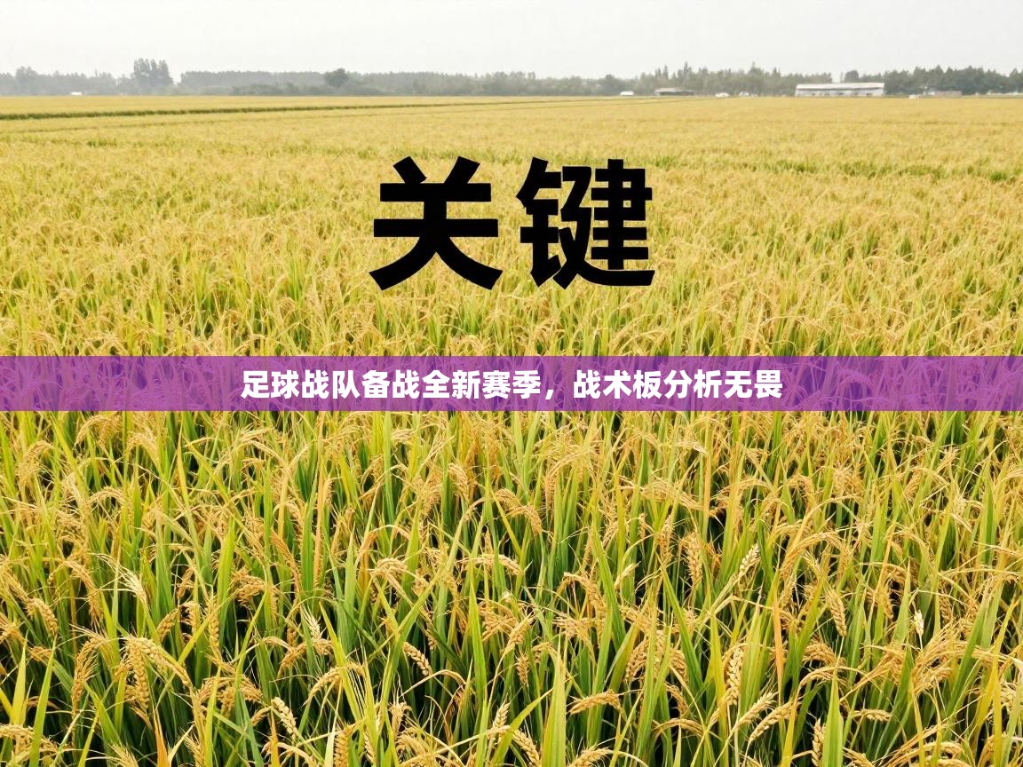 开云体育夜间模式开启-足球战队备战全新赛季，战术板分析无畏  第1张