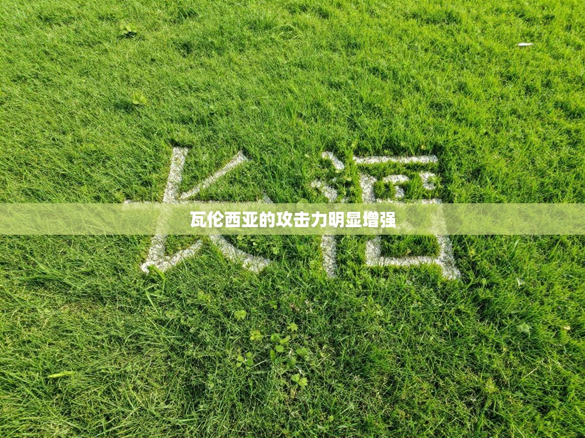 开云体育入口手机版-瓦伦西亚的攻击力明显增强 第2张